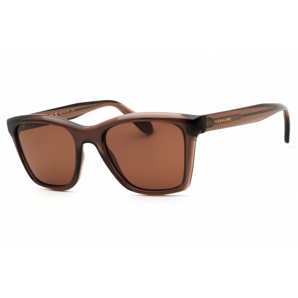 Salvatore Ferragamo Sf2001s Sunglasses Transparent Brown Rectangle